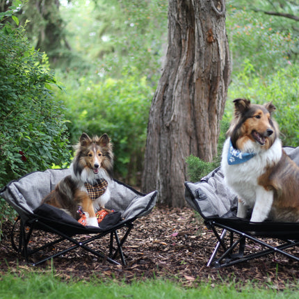 Kuma Little  Lazy Bear Dog Bed