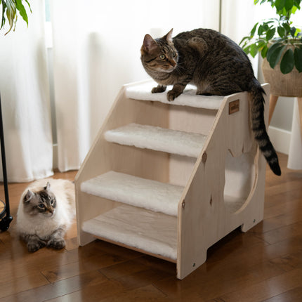 The Stairs Hideout
