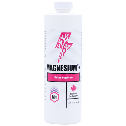 Magnesium12+