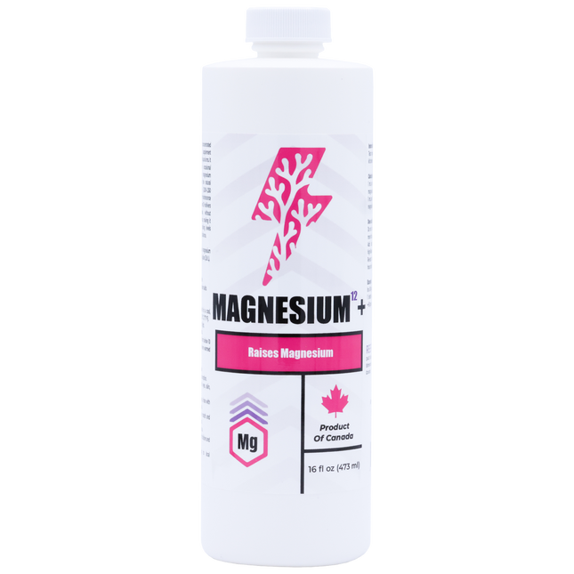 Magnesium12+