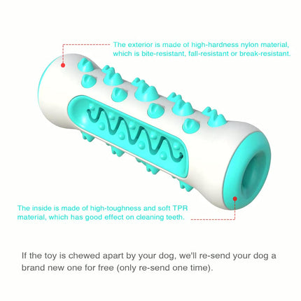Molar Chew & Dental Toy for Dogs