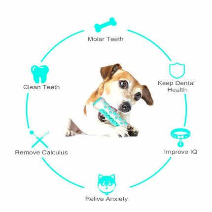 Molar Chew & Dental Toy for Dogs