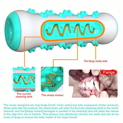 Molar Chew & Dental Toy for Dogs