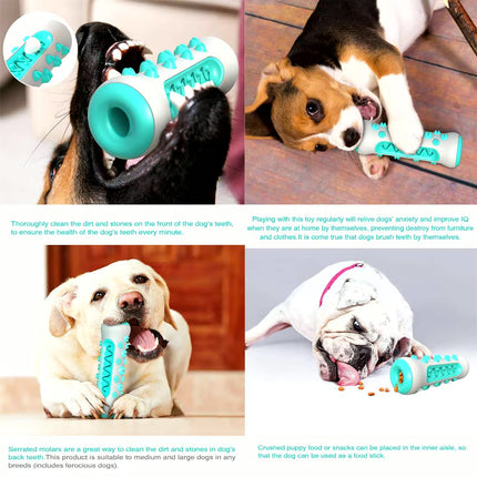 Molar Chew & Dental Toy for Dogs