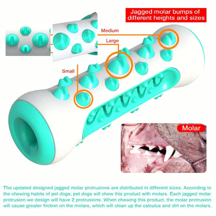 Molar Chew & Dental Toy for Dogs