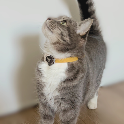 5-Pack One for every appointment, trip, or moving box. —  MoriCat Purrmone Press (Cat Pheromone)