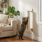 Beds & Furniture