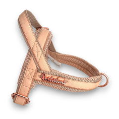 Collection image for: Dogs - Collars, Leashes & Harnesses