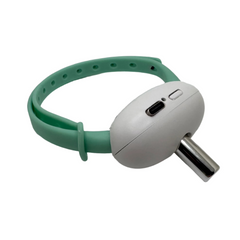 Collection image for: Cats - Collars, Leashes & Harnesses