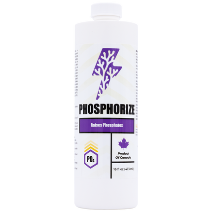 Phosphorize