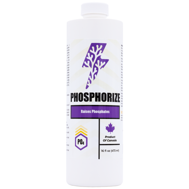 Phosphorize