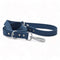 Collars, Leashes & Harnesses