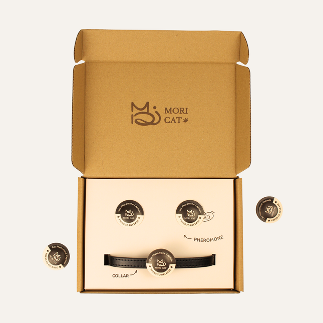 Moricat Purrmone Press Starter Kit — 5 Patches + Magnetic Buckle Collar