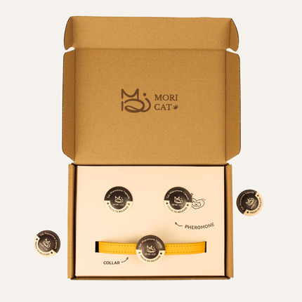 Moricat Purrmone Press Starter Kit — 5 Patches + Magnetic Buckle Collar