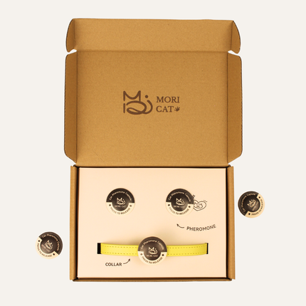 Moricat Purrmone Press Starter Kit — 5 Patches + Magnetic Buckle Collar