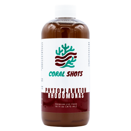Rhodomonas Live Phytoplankton - Coral Shots
