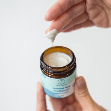Natural Pet Toothpaste