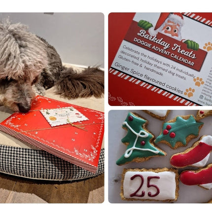 Canadian Dog Advent Calendar 2026