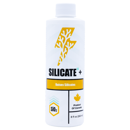 Silicate14+