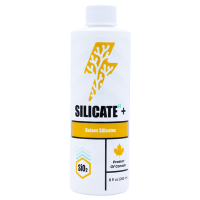 Silicate14+