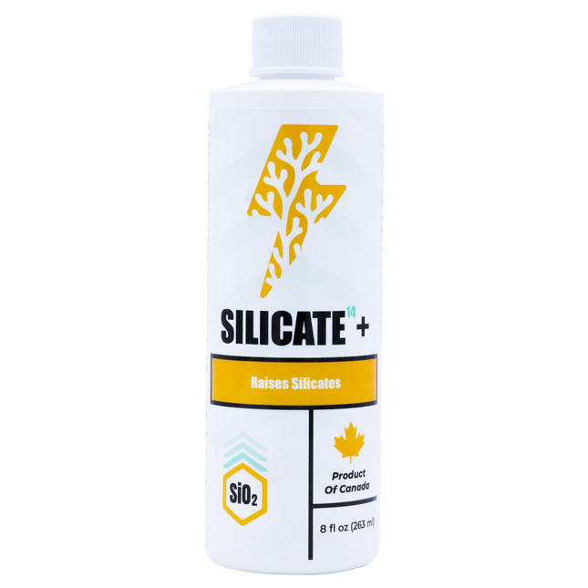 Silicate14+