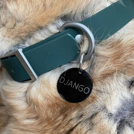 Dog Walk Combo: Collar, Leash, Dog Tag Set