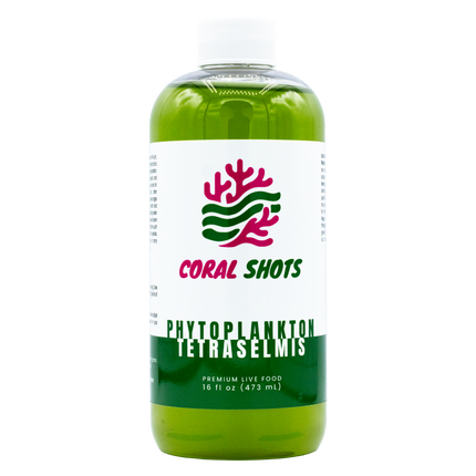 Tetraselmis Live Phytoplankton - Coral Shots