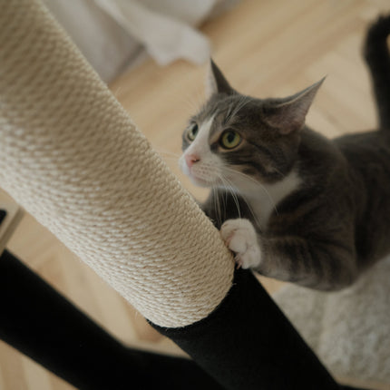 Noba Animal Co. Modern Plywood 2-Level Cat Tree