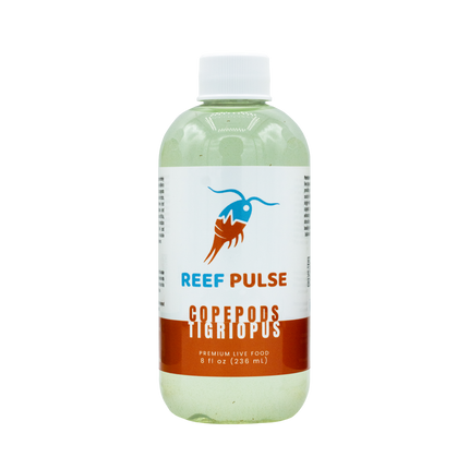 Tigriopus Live Copepods - Reef Pulse