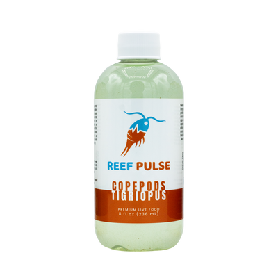 Tigriopus Live Copepods - Reef Pulse