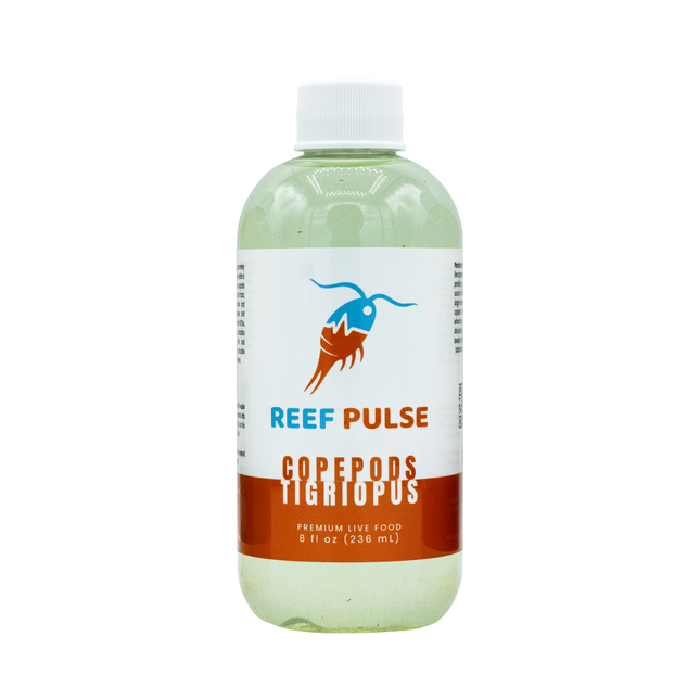 Tigriopus Live Copepods - Reef Pulse