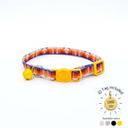 Colorful Arrows / Silver / One Fits All