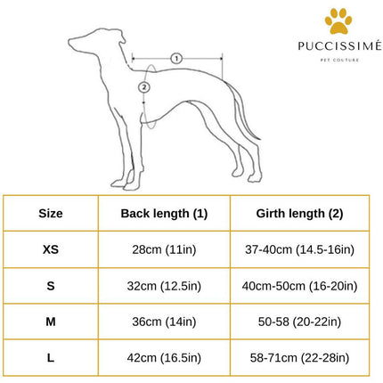 Burgundy Rain Jacket