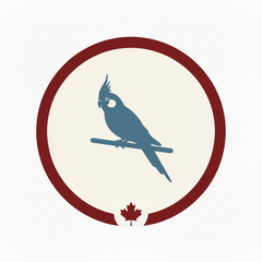 Bird Feed & Seed Mixes