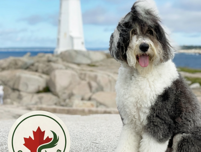 CanadaPets Dog - Logo Left Center