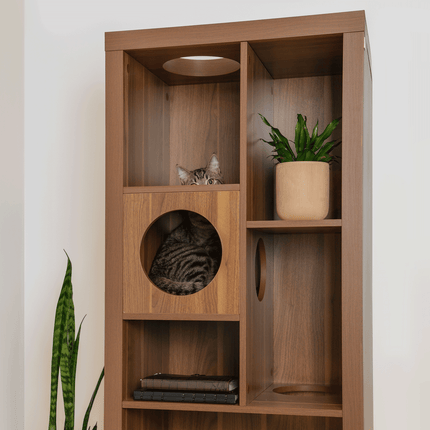 cliff jr.- cat tree bookshelf