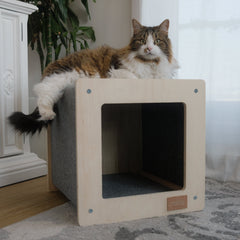 Collection image for: Cats - Beds & Furniture