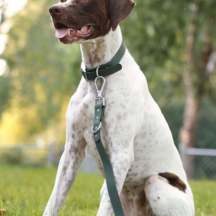 Water Resistant Dog Collar