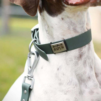Water Resistant Dog Collar
