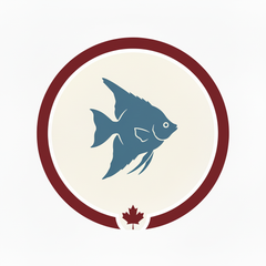 Fish Decor & Maintenance