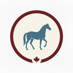 Horse Grooming