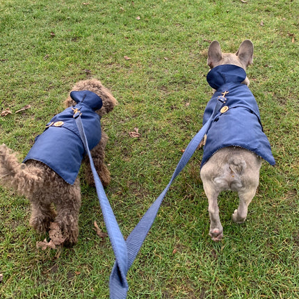 Puccissimé Pet Couture Navy Waterproof Insulated Dog Rain Jacket