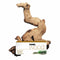 Decor & Maintenance