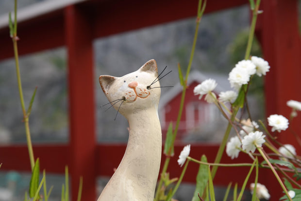 Banner image for: <h2>Hello Spring, Hello Kitty</h2>