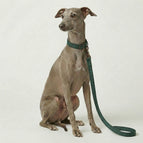 One Size / Hunter Green
