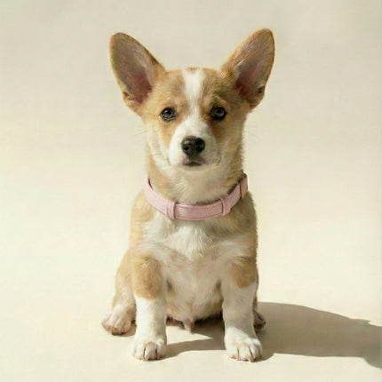 Tweed Collar
