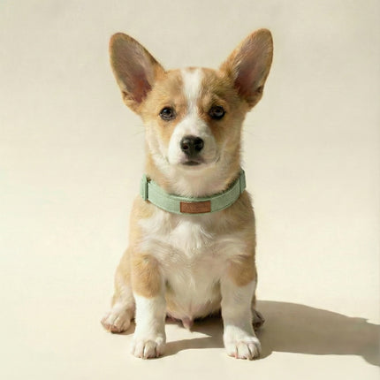 Tweed Collar
