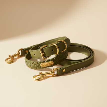 Pet Collar