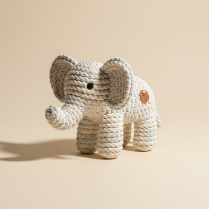 Pet Toy