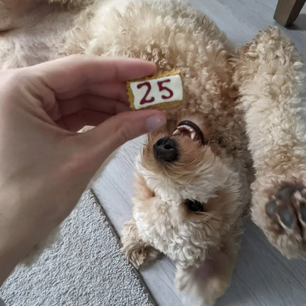 Canadian Dog Advent Calendar 2026